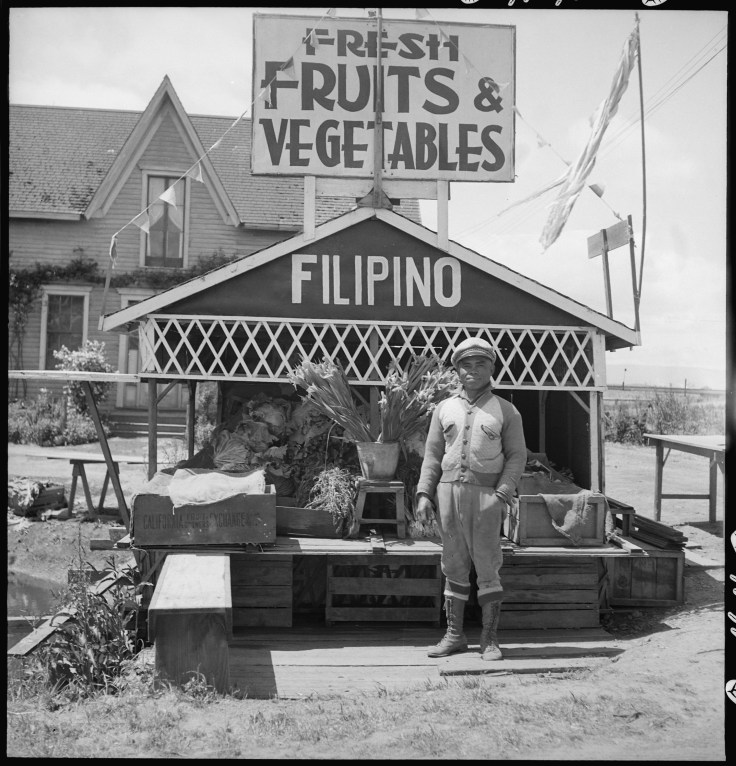 San_Lorenzo,_California._Fruit_and_vegetable_stand_on_highway_operated_by_Filipino._This_year_he_._._._-_NARA_-_537768