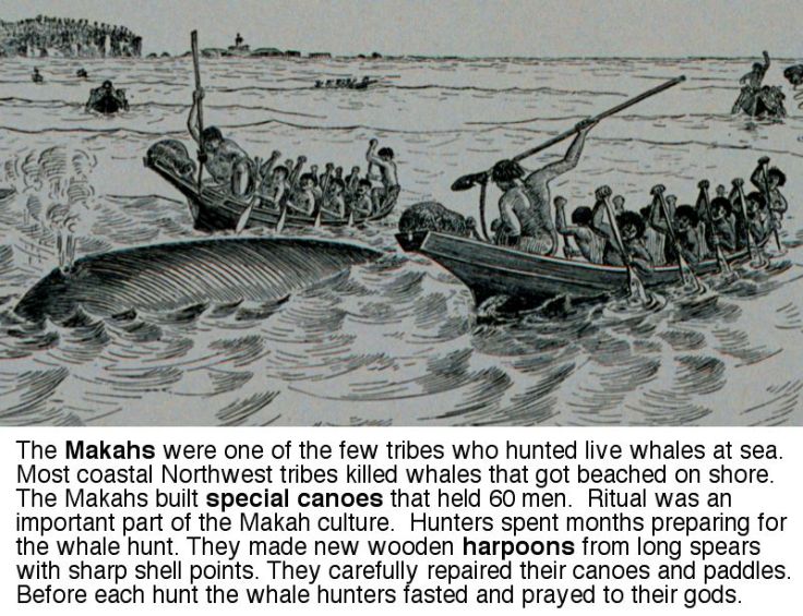 macah_whale_hunt2